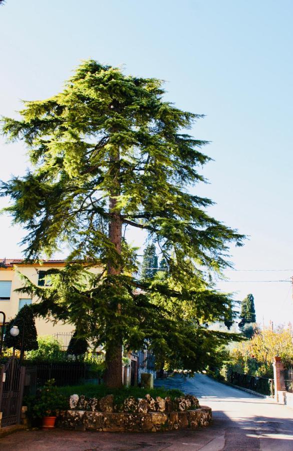 La Torre Di Caprera Lägenhet Siena Exteriör bild